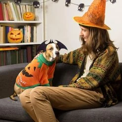 Unbranded Dog Costume Halloween Pumpkin Dog Costume Large Dog Costume For Halloween Pet Cat Dog Clothes -Pet Soin 494817349 max