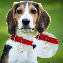 Dog Toys 2 Pièces Heilwiy De Plaques D’identité Avec Gravure. Adresse Tag Dog Dog Tag Cadeau Personnalisé Pet Id -Pet Soin 496011851 max