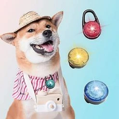 Dog Toys 1 Pièce Led Dog Trailer Light Pendentif Led Pendentif Lumière Colliers Led Heilwiy Cadeau -Pet Soin 496011975 max