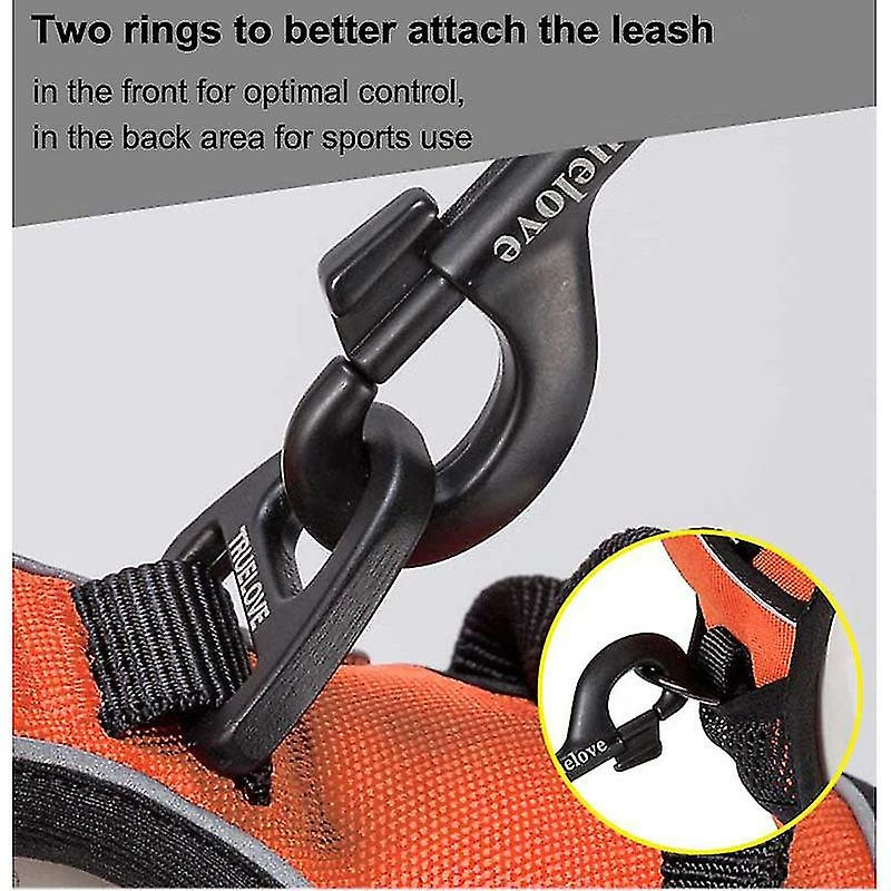 Unbranded Truelove Dog Harness Petit Grand Durable Reflective Pet Harness Dog Running Safety Lift Pulling Walking Harness Pour Chien Voyage 3 Unbranded Truelove Dog Harness Petit Grand Durable Reflective Pet Harness Dog Running Safety Lift Pulling Walking Harness Pour Chien Voyage – Image 3