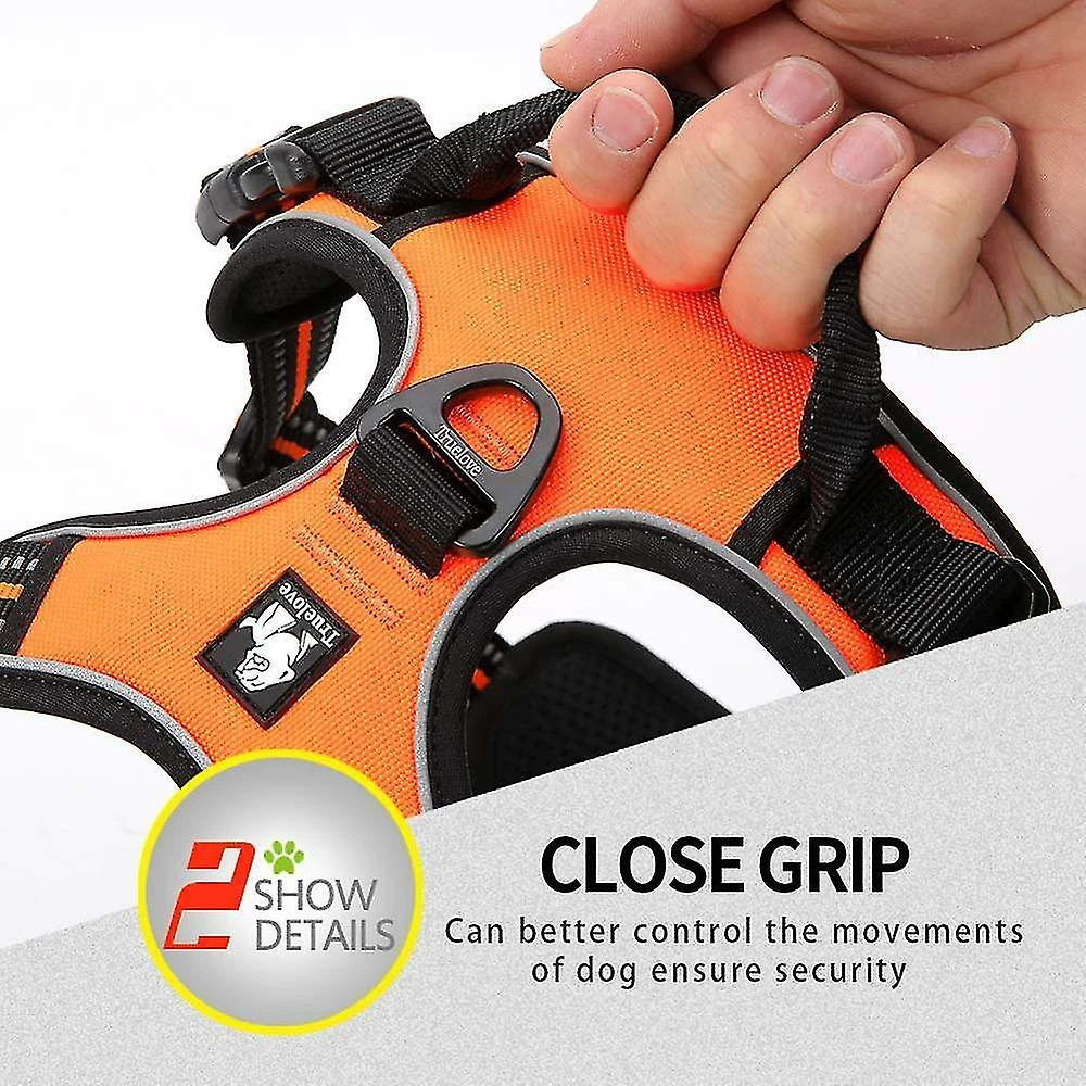 Unbranded Truelove Dog Harness Petit Grand Durable Reflective Pet Harness Dog Running Safety Lift Pulling Walking Harness Pour Chien Voyage 4 Unbranded Truelove Dog Harness Petit Grand Durable Reflective Pet Harness Dog Running Safety Lift Pulling Walking Harness Pour Chien Voyage – Image 4