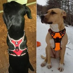Unbranded Truelove Dog Harness Petit Grand Durable Reflective Pet Harness Dog Running Safety Lift Pulling Walking Harness Pour Chien Voyage -Pet Soin 496706725 max