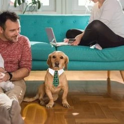 Redmiter Pet Tie Dog Tie Réglable Costume Dog Collar Ties Party Accessoires Costume De Noël -Pet Soin 499729729 max