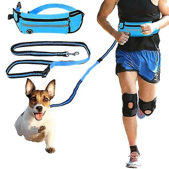 Shiyi Yiyi Running Mains Libres Bungee Dog Leash 1 Shiyi Yiyi Running Mains Libres Bungee Dog Leash