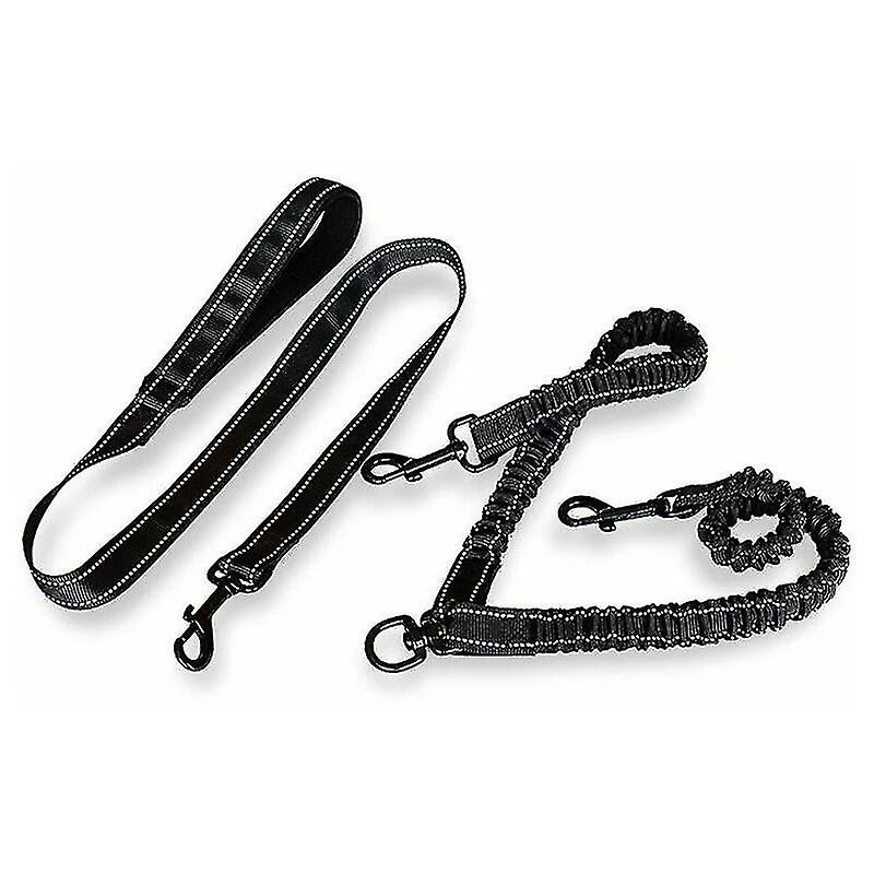 Blythe Double Leash For 2 Dogs, Dog Leash, Reflective, Training And Training, 360 Gift 3 Blythe Double Leash For 2 Dogs, Dog Leash, Reflective, Training And Training, 360 Gift – Image 3