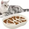 Unbranded White Ceramic Slow Feeder Cat Dog Bowls - Conception Unique Fishbone Fun