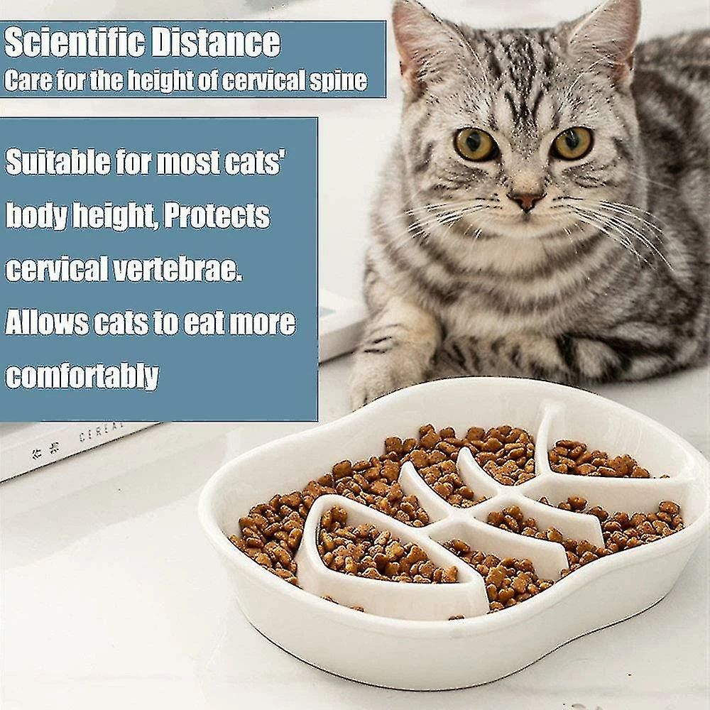 Unbranded White Ceramic Slow Feeder Cat Dog Bowls - Conception Unique Fishbone Fun 3 Unbranded White Ceramic Slow Feeder Cat Dog Bowls - Conception Unique Fishbone Fun – Image 3