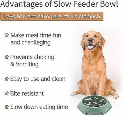 Shiyi Dog Bowl Dog Slow Feeder Bowls Bloat Stop Food Bowl Puzzle Interactif Healthy Eating Bowl (bleu)yiyi 6 Shiyi Dog Bowl Dog Slow Feeder Bowls Bloat Stop Food Bowl Puzzle Interactif Healthy Eating Bowl (bleu)yiyi -Pet Soin 506665469 max
