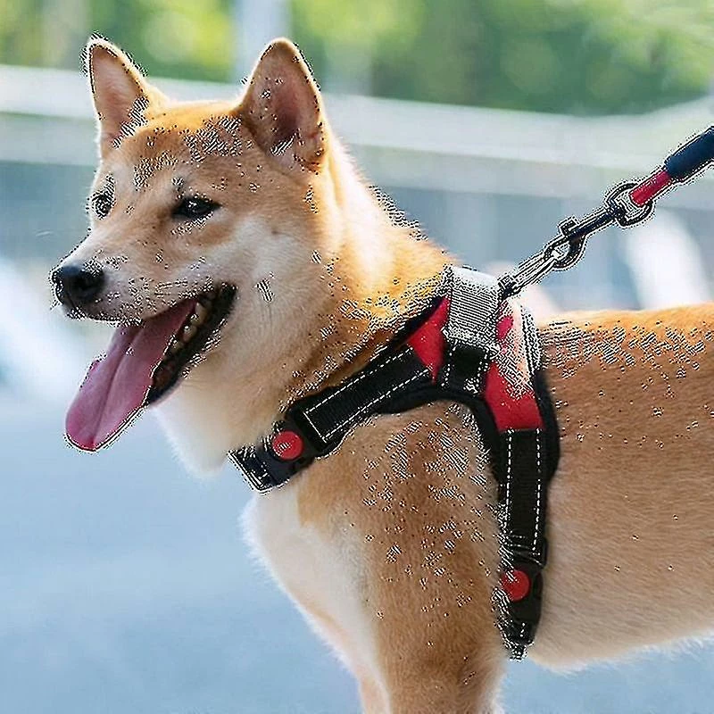Unbranded Pet Dog Leash Traction Harnais De Poitrine Drag Antidéflagrant Black-l Aespa 3 Unbranded Pet Dog Leash Traction Harnais De Poitrine Drag Antidéflagrant Black-l Aespa – Image 3
