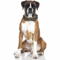 Knpht Halloween Dog Collar Strap Removable Cute Bow Tie Réglable Pet Collar -Pet Soin 509233218 max