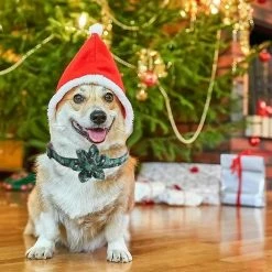Knpht Christmas Dog Collar , Adorable Collar Compatible With Puppy Dogs Cats Pets -Pet Soin 509240820 max