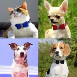 Aowear Strass Bowknot Pet Dog Collier Réglable Sparkly Crystal Studded Velvet 8 Aowear Strass Bowknot Pet Dog Collier Réglable Sparkly Crystal Studded Velvet -Pet Soin 510015268 max 2