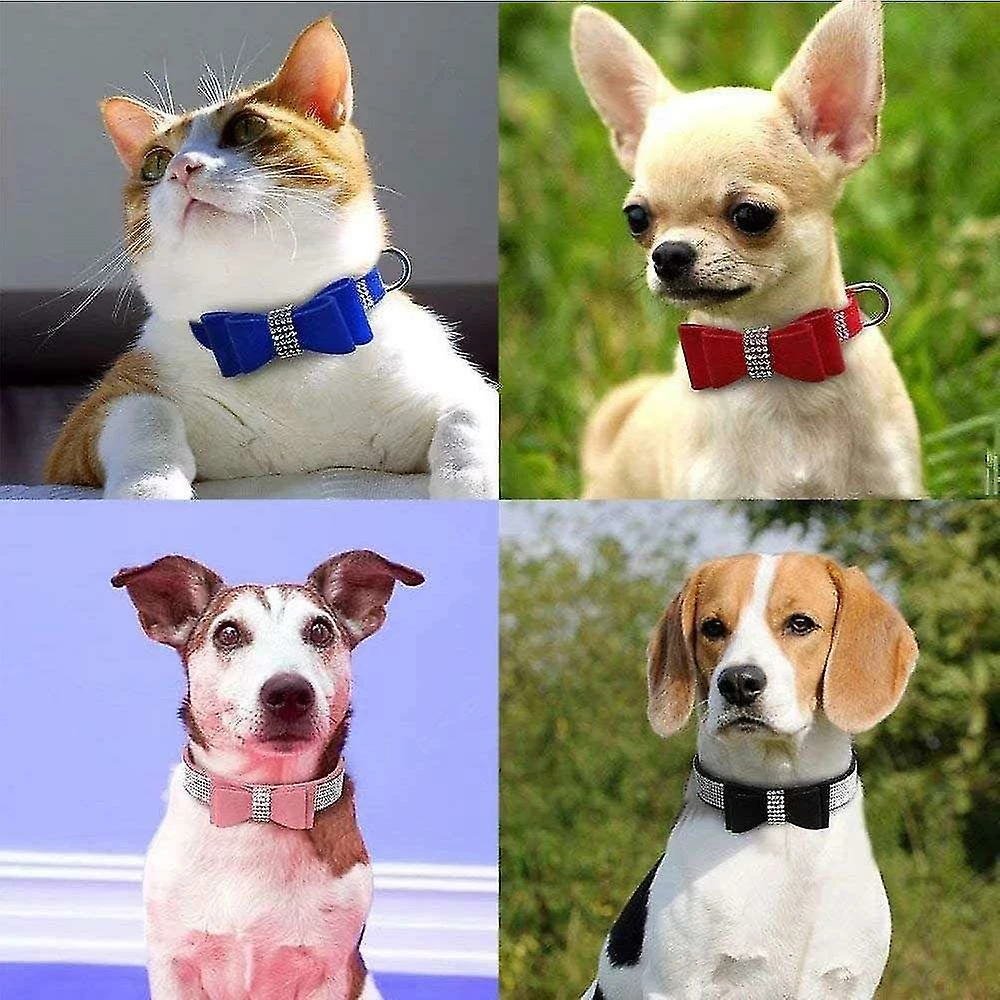 Aowear Strass Bowknot Pet Dog Collier Réglable Sparkly Crystal Studded Velvet 4 Aowear Strass Bowknot Pet Dog Collier Réglable Sparkly Crystal Studded Velvet – Image 4
