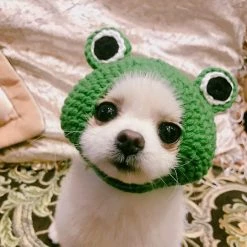 Aowear Chien Chat Pet Hat Tricoté à La Main Chapeau De Laine Pour Chiot Teddy Cartoon Frog Dog Cat -Pet Soin 510021718 max