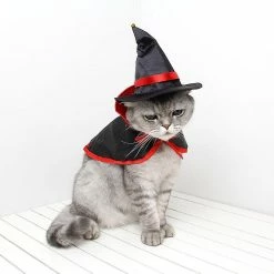 Mike Pet Cats Vêtements Cosplay Costume Robe Halloween Pet Cape Hat Set Cat Dog Costume Dress Up Photo Props Animaux De Compagnie Produits Accessoires 7 Mike Pet Cats Vêtements Cosplay Costume Robe Halloween Pet Cape Hat Set Cat Dog Costume Dress Up Photo Props Animaux De Compagnie Produits Accessoires -Pet Soin 510567358 max