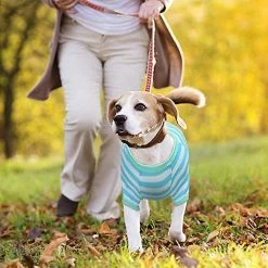 Sxbd 4 Pièces Chemise De Chien Petit Chien Rayé T Shirt Pet Apparel Puppy Sweatshirt Dog Vêtements Pour Chiens De Petite à Moyenne Taille 6 Sxbd 4 Pièces Chemise De Chien Petit Chien Rayé T Shirt Pet Apparel Puppy Sweatshirt Dog Vêtements Pour Chiens De Petite à Moyenne Taille -Pet Soin 511445106 max
