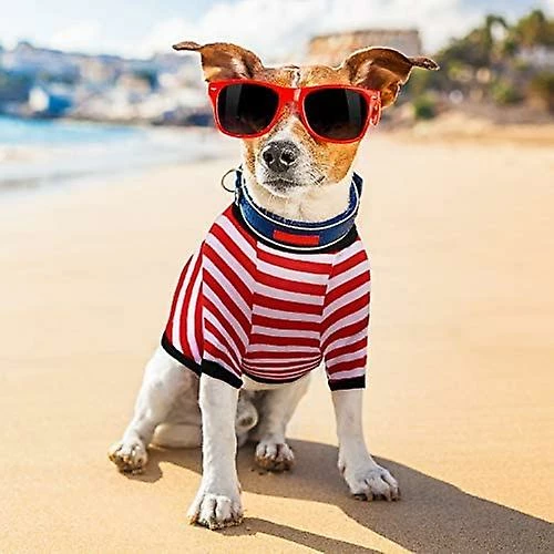 Sxbd 4 Pièces Chemise De Chien Petit Chien Rayé T Shirt Pet Apparel Puppy Sweatshirt Dog Vêtements Pour Chiens De Petite à Moyenne Taille 3 Sxbd 4 Pièces Chemise De Chien Petit Chien Rayé T Shirt Pet Apparel Puppy Sweatshirt Dog Vêtements Pour Chiens De Petite à Moyenne Taille – Image 3