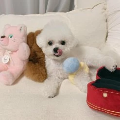 Born Pretty Squeak Plush Toy Ring Box Diamond Ring Case Stuffed Pet Chew Puppy Toy Sounds Puppies Cute Soft Dog Interested Toy -Pet Soin 513828560 max