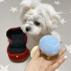 Born Pretty Squeak Plush Toy Ring Box Diamond Ring Case Stuffed Pet Chew Puppy Toy Sounds Puppies Cute Soft Dog Interested Toy -Pet Soin 513828590 max