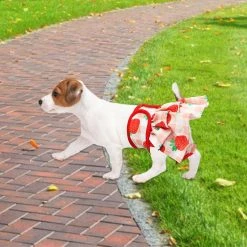 Unbrand 3 Pack Couches Pour Chiens Femelles Couches Souples Pour Chiens Avec 4 Couches Pour Fille Dog In Period Heat 8 Unbrand 3 Pack Couches Pour Chiens Femelles Couches Souples Pour Chiens Avec 4 Couches Pour Fille Dog In Period Heat -Pet Soin 514754873 max