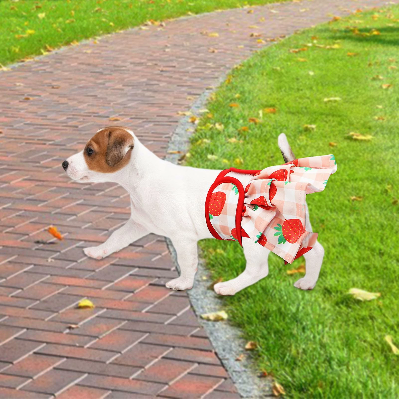 Unbrand 3 Pack Couches Pour Chiens Femelles Couches Souples Pour Chiens Avec 4 Couches Pour Fille Dog In Period Heat 4 Unbrand 3 Pack Couches Pour Chiens Femelles Couches Souples Pour Chiens Avec 4 Couches Pour Fille Dog In Period Heat – Image 4