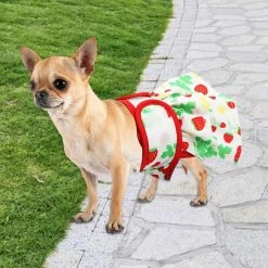 Unbrand 3 Pack Couches Pour Chiens Femelles Couches Souples Pour Chiens Avec 4 Couches Pour Fille Dog In Period Heat 9 Unbrand 3 Pack Couches Pour Chiens Femelles Couches Souples Pour Chiens Avec 4 Couches Pour Fille Dog In Period Heat -Pet Soin 514754890 max