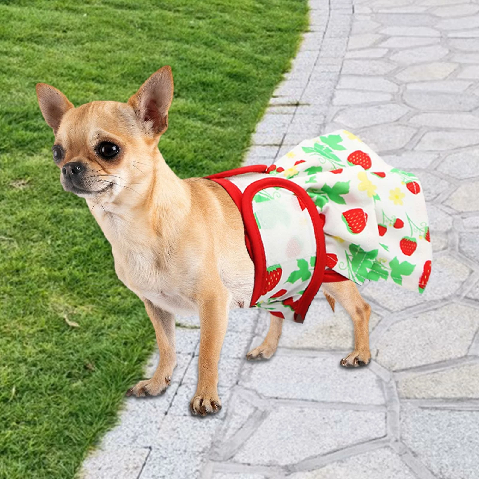 Unbrand 3 Pack Couches Pour Chiens Femelles Couches Souples Pour Chiens Avec 4 Couches Pour Fille Dog In Period Heat 5 Unbrand 3 Pack Couches Pour Chiens Femelles Couches Souples Pour Chiens Avec 4 Couches Pour Fille Dog In Period Heat – Image 5