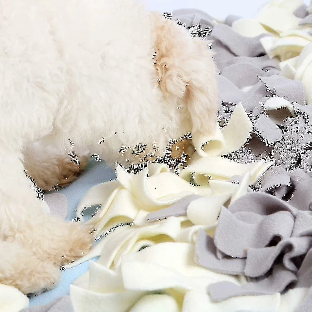 Unbranded Tlmccf Chien Reniflant Tapis Intelligence Jouet, Renifler Pelouse Dog Toy Favorise La Recherche Naturelle De Nourriture, Odeur De Chien 4 Unbranded Tlmccf Chien Reniflant Tapis Intelligence Jouet, Renifler Pelouse Dog Toy Favorise La Recherche Naturelle De Nourriture, Odeur De Chien – Image 4