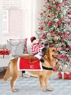 Unbranded Pet Dog Drôles Vêtements Chiens Cosplay Costume Halloween Noël Comiques Tenues Dog Festival Party Vêtements -Pet Soin 525899242 max