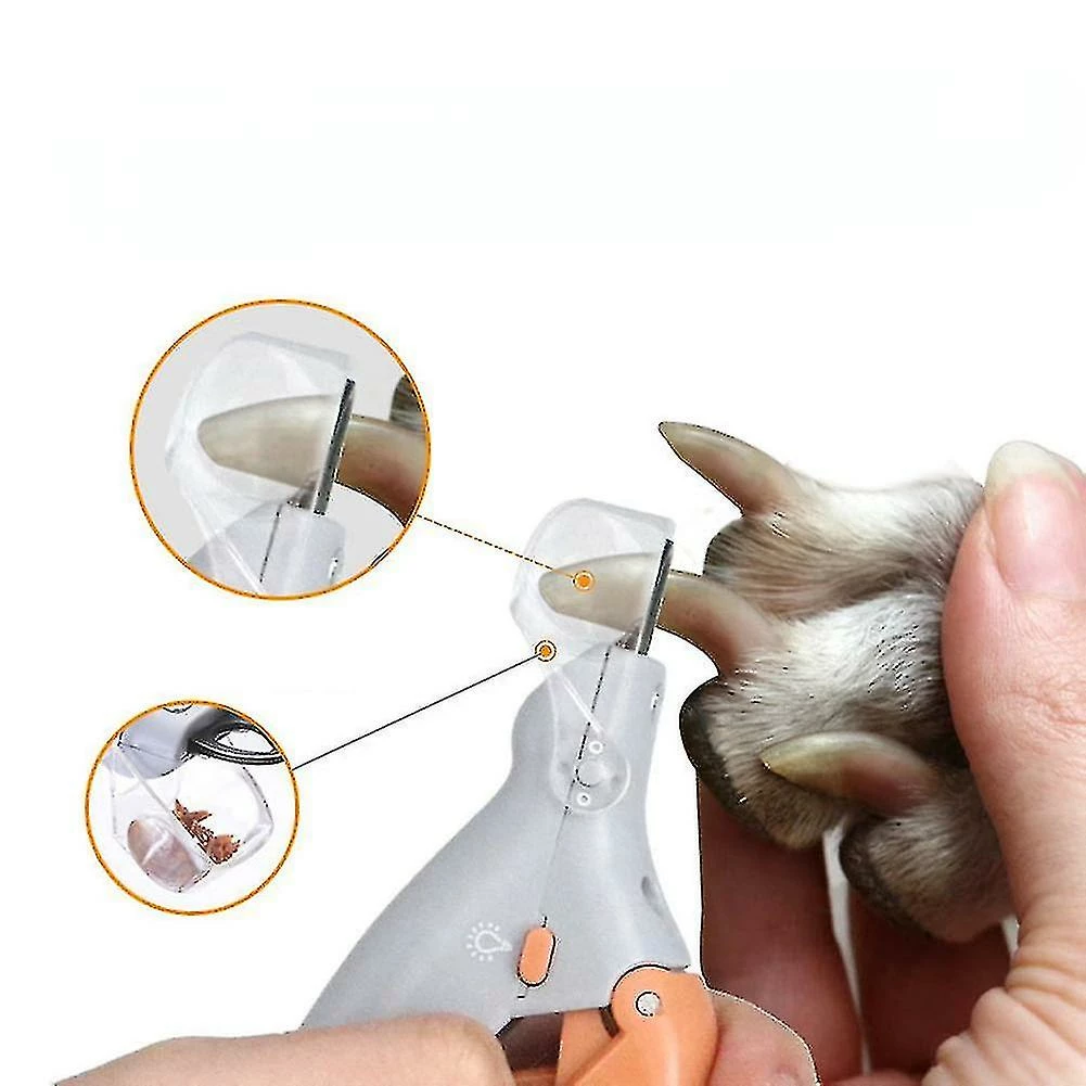 A Smile Professionnel Pet Nail Clipper Ciseaux Pet Dog Cat Nail Toe Claw Clippers Scissor Led Light Nail Trimmer For Animals Pet Supply 1 A Smile Professionnel Pet Nail Clipper Ciseaux Pet Dog Cat Nail Toe Claw Clippers Scissor Led Light Nail Trimmer For Animals Pet Supply