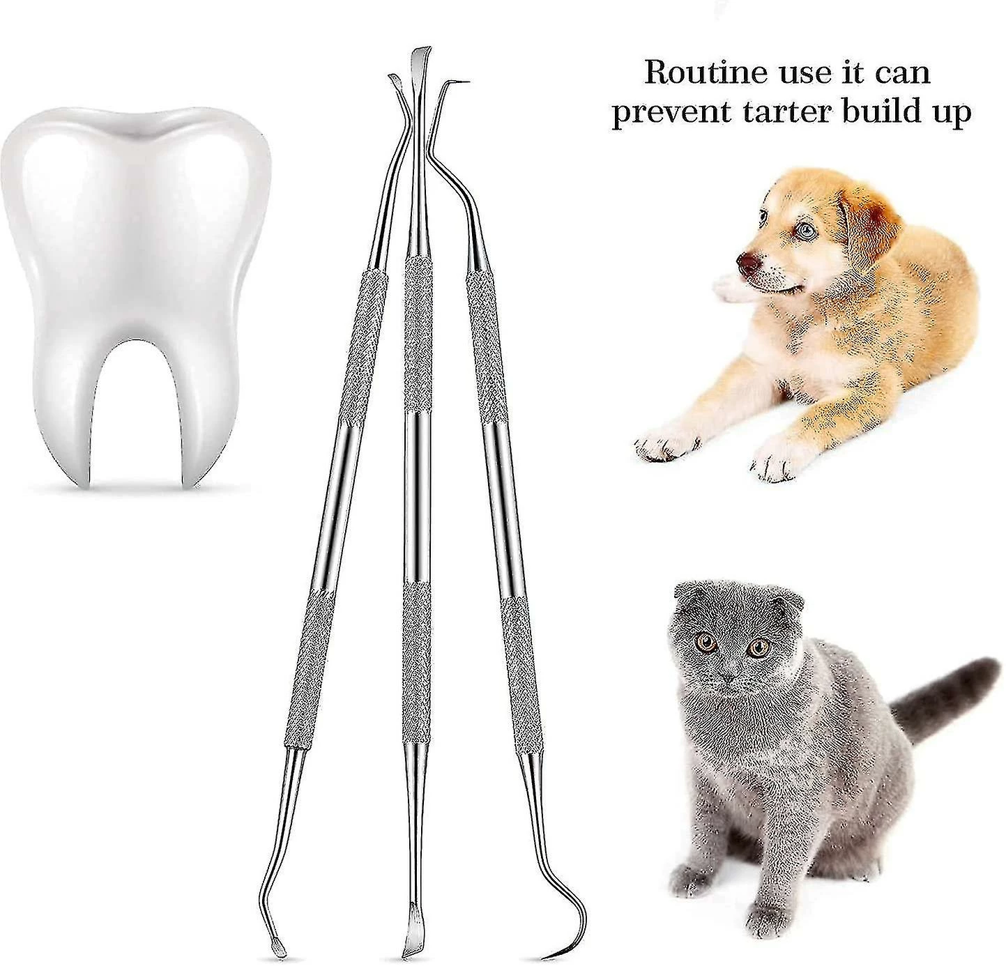 Lequeen Pcs Dog Teeth Cleaner And Scraper Acier Inoxydable Double Ended Tooth Grinder Scraper Pet Teeth Cleaning Tool For Dogs And Cats (argent) 2 Lequeen Pcs Dog Teeth Cleaner And Scraper Acier Inoxydable Double Ended Tooth Grinder Scraper Pet Teeth Cleaning Tool For Dogs And Cats (argent) – Image 2