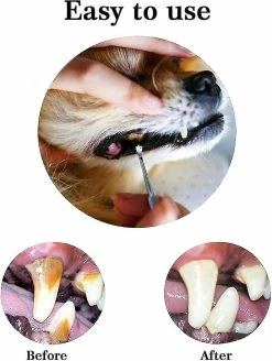 Lequeen Pcs Dog Teeth Cleaner And Scraper Acier Inoxydable Double Ended Tooth Grinder Scraper Pet Teeth Cleaning Tool For Dogs And Cats (argent) 7 Lequeen Pcs Dog Teeth Cleaner And Scraper Acier Inoxydable Double Ended Tooth Grinder Scraper Pet Teeth Cleaning Tool For Dogs And Cats (argent) -Pet Soin 528912787 max
