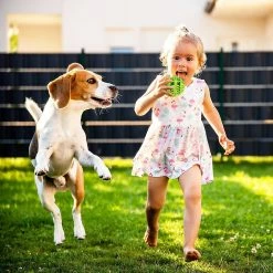 Unbranded Dog Toy Ball, Non-toxic Anti-bite Dog Chew Ball Food Snack Feeder Teeth Cleaning Practice 8 Unbranded Dog Toy Ball, Non-toxic Anti-bite Dog Chew Ball Food Snack Feeder Teeth Cleaning Practice -Pet Soin 529140552 max