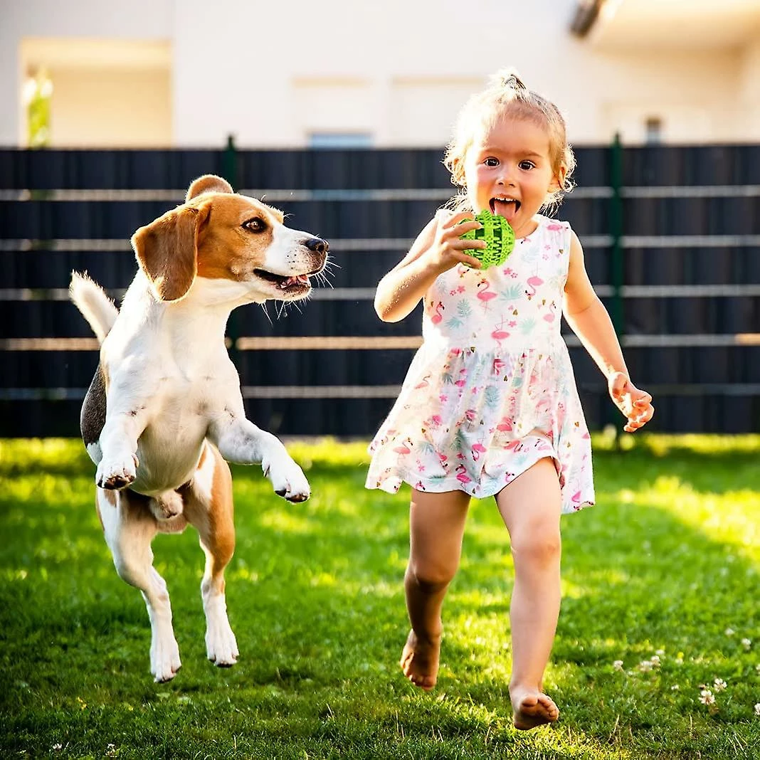 Unbranded Dog Toy Ball, Non-toxic Anti-bite Dog Chew Ball Food Snack Feeder Teeth Cleaning Practice 4 Unbranded Dog Toy Ball, Non-toxic Anti-bite Dog Chew Ball Food Snack Feeder Teeth Cleaning Practice – Image 4