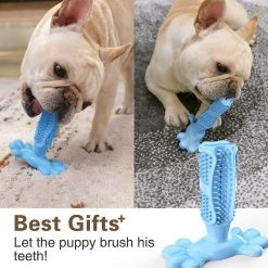 Unbranded Dog Toothbrush Made Of Natural Rubber, Chew Toy For Teeth Cleaning, Dental Care, Puppy 6 Unbranded Dog Toothbrush Made Of Natural Rubber, Chew Toy For Teeth Cleaning, Dental Care, Puppy -Pet Soin 530088897 max