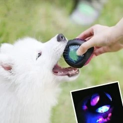 Unbranded Dog Ball Luminous Dog Toy Durable Elastic Rubber Ball Resistant Dog Ball Training -Pet Soin 530106699 max