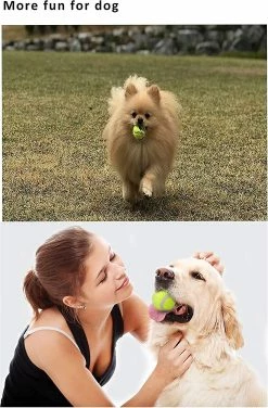 Unbranded 6 Pack Balle De Tennis Pour Chien Pet Sport Ball Medium 2,5 Pouces Dog Ball Toys Pour L’exercice 4 Unbranded 6 Pack Balle De Tennis Pour Chien Pet Sport Ball Medium 2,5 Pouces Dog Ball Toys Pour L’exercice -Pet Soin 531691516 max