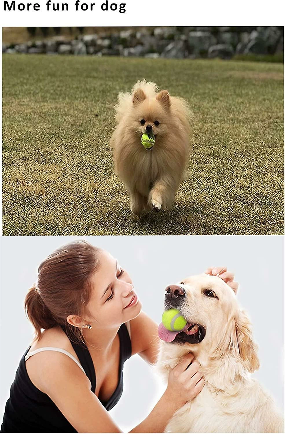 Unbranded 6 Pack Balle De Tennis Pour Chien Pet Sport Ball Medium 2,5 Pouces Dog Ball Toys Pour L’exercice 2 Unbranded 6 Pack Balle De Tennis Pour Chien Pet Sport Ball Medium 2,5 Pouces Dog Ball Toys Pour L’exercice – Image 2