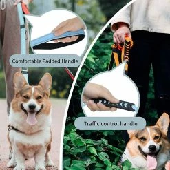 Unbranded Dog Leash Durable Nylon Material Dog Leash Reflective Elastic Shock Absorber Bon Pour Trai -Pet Soin 531695731 max