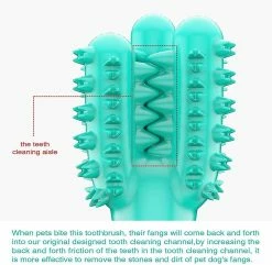 Unbranded Dog Tooth Cleaner Stick Pet Resistant Cactus Shape Tooth Cleaner Toothbrush Stick 6 Unbranded Dog Tooth Cleaner Stick Pet Resistant Cactus Shape Tooth Cleaner Toothbrush Stick -Pet Soin 531697395 max