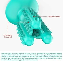 Unbranded Dog Tooth Cleaner Stick Pet Resistant Cactus Shape Tooth Cleaner Toothbrush Stick 7 Unbranded Dog Tooth Cleaner Stick Pet Resistant Cactus Shape Tooth Cleaner Toothbrush Stick -Pet Soin 531697410 max