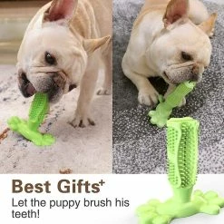 Unbranded Dog Toothbrush Dog Toy Chew Toy Rubber Teeth Cleaning Dog Toothbrush Stick Durable -Pet Soin 531697568 max