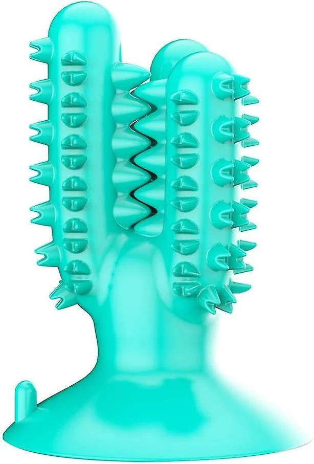 Unbranded Dog Tooth Cleaner Stick Pet Resistant Cactus Shape Tooth Cleaner Toothbrush Stick 1 Unbranded Dog Tooth Cleaner Stick Pet Resistant Cactus Shape Tooth Cleaner Toothbrush Stick