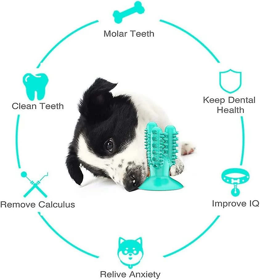 Unbranded Dog Tooth Cleaner Stick Pet Resistant Cactus Shape Tooth Cleaner Toothbrush Stick 2 Unbranded Dog Tooth Cleaner Stick Pet Resistant Cactus Shape Tooth Cleaner Toothbrush Stick – Image 2