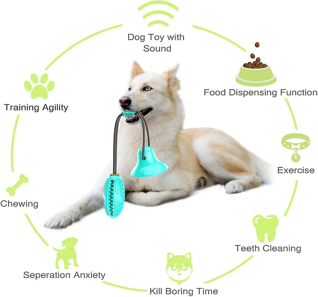 Unbranded Multifonction Pet Molar Toy, Jouet Multifonctionnel Pour Chiots, Dog Molar Toy 5 Unbranded Multifonction Pet Molar Toy, Jouet Multifonctionnel Pour Chiots, Dog Molar Toy – Image 5