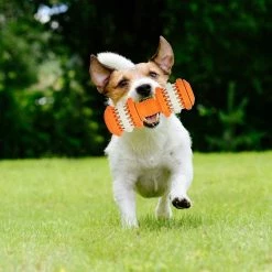 Unbranded Jouets Pour Chiens Haltères Jouets Pour Chiens Silicone Dog Chew Toys Pet Interactive Training Toys Dental Car -Pet Soin 531700101 max