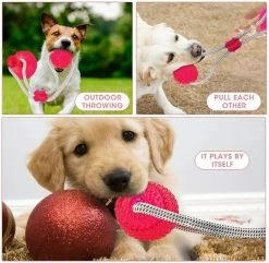Unbranded Multifonction Pet Molar Toy Multifunction Toy Pour Puppy Dog Chew Rope Ball Toy 6 Unbranded Multifonction Pet Molar Toy Multifunction Toy Pour Puppy Dog Chew Rope Ball Toy -Pet Soin 531702777 max