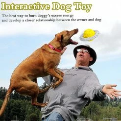 Unbranded Indestructible Dog Chew Toy, Squeaky Dog Toy Sound Ball, Interactive Dog Toy Suitable 9 Unbranded Indestructible Dog Chew Toy, Squeaky Dog Toy Sound Ball, Interactive Dog Toy Suitable -Pet Soin 533754231 max