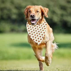 Unbranded 12 Pièces Dog Bandana Foulard Lavable Bavoirs Triangulaires Pet Réglable Lavable Kerchief Dog Bandana -Pet Soin 535926313 max