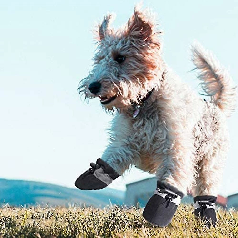 Unbranded Chaussures Pour Chien Pour Protecteur De Patte De Trottoir Chaud, Semelle Antidérapante été Cat Dog Boots Avec Sangles Réfléchissantes 4pcs 4 Unbranded Chaussures Pour Chien Pour Protecteur De Patte De Trottoir Chaud, Semelle Antidérapante été Cat Dog Boots Avec Sangles Réfléchissantes 4pcs – Image 4